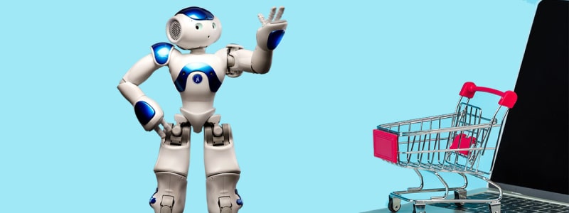 The Benefits of AI in eCommerce